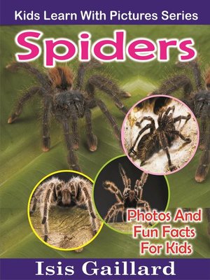 cover image of Spiders Photos and Fun Facts for Kids